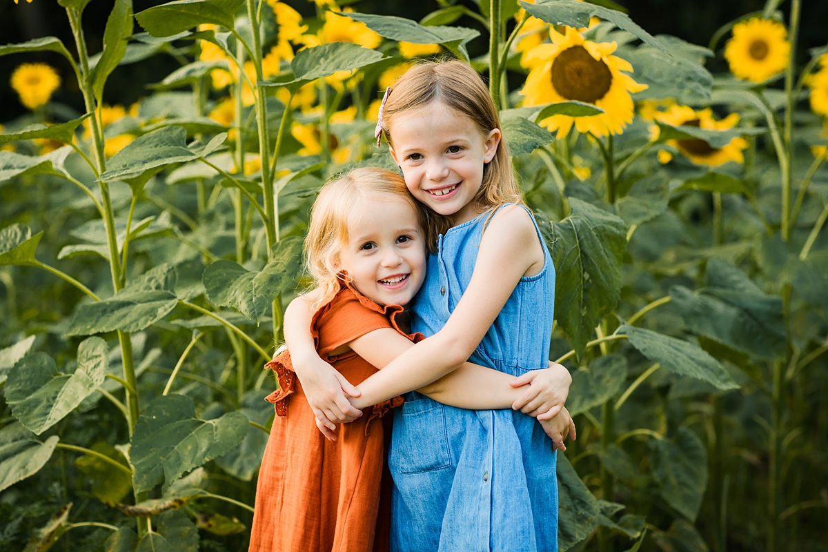 Sunflower Minis | Jubilee State Park in Brimfield, Illinois ...