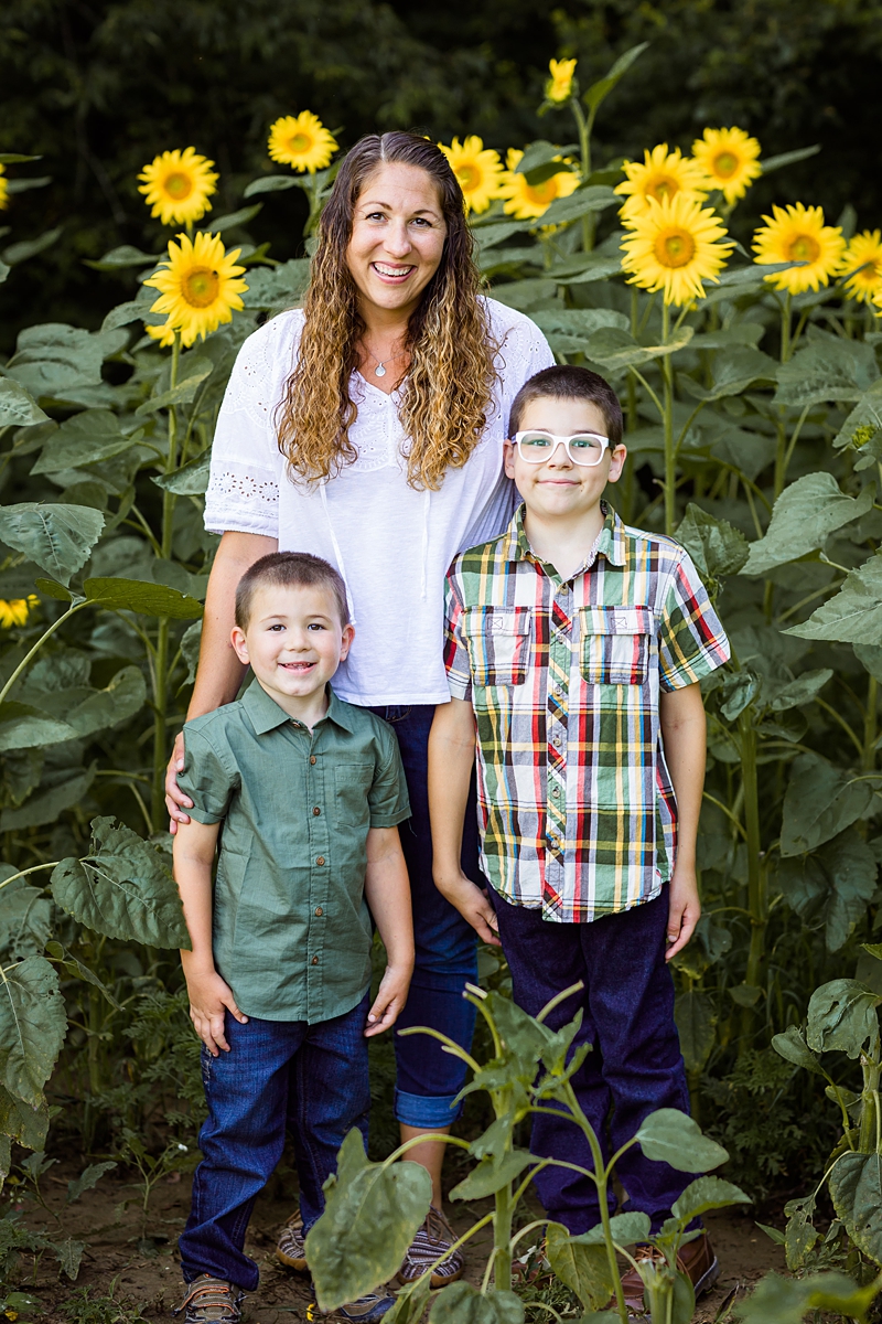 Sunflower Minis Jubilee State Park in Brimfield, Illinois